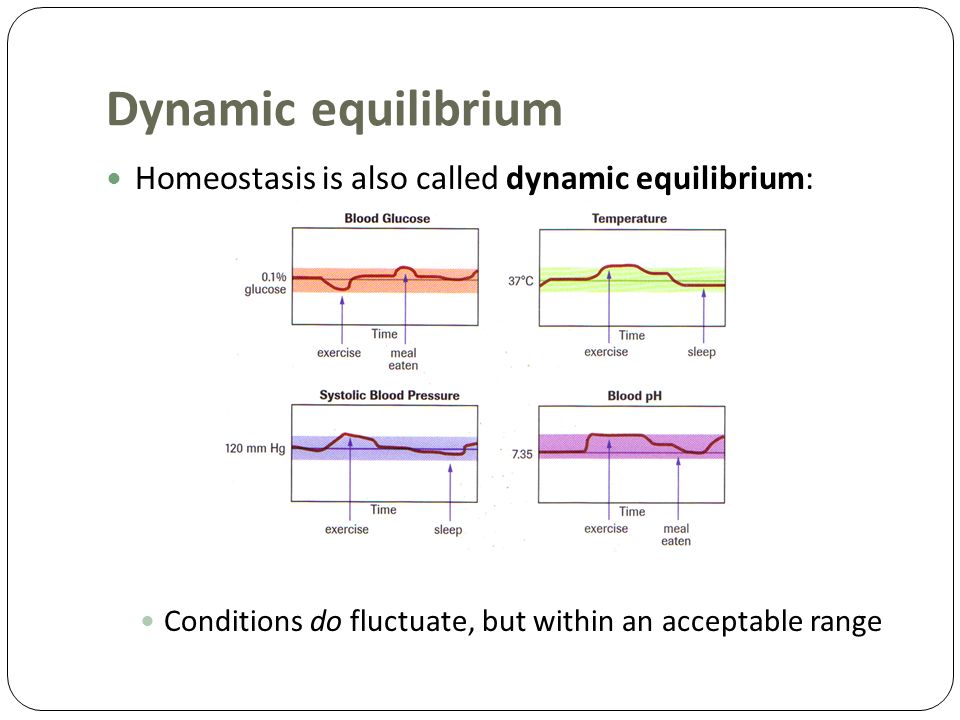 Pricing and equilibrium : an introduction to static and dynamic analysis